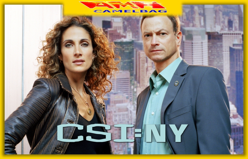 CSI NY NEW YORK The Game for PC New OVP | eBay